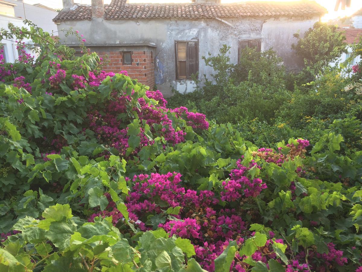 Parmis Rooms Çeşme Buitenkant foto